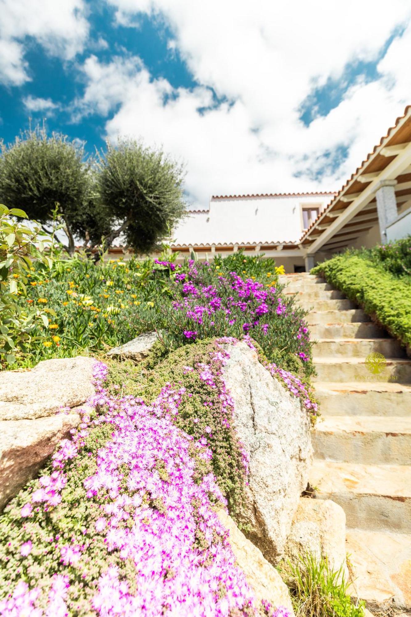 Agriturismo Bed And Breakfast Tanca Taroni Telti Exterior photo